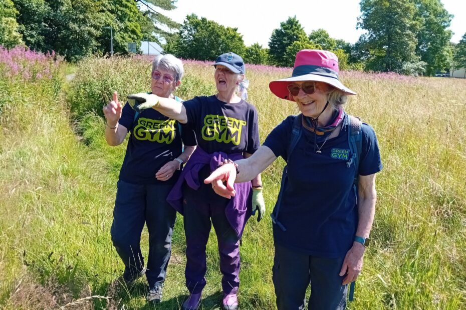 Green health members spot some local wildlife and plants in North Ayrshire