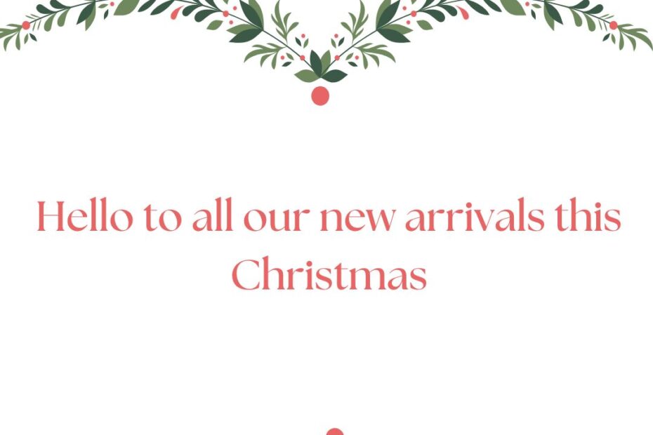 Hello to all our new arrivals this Christmas